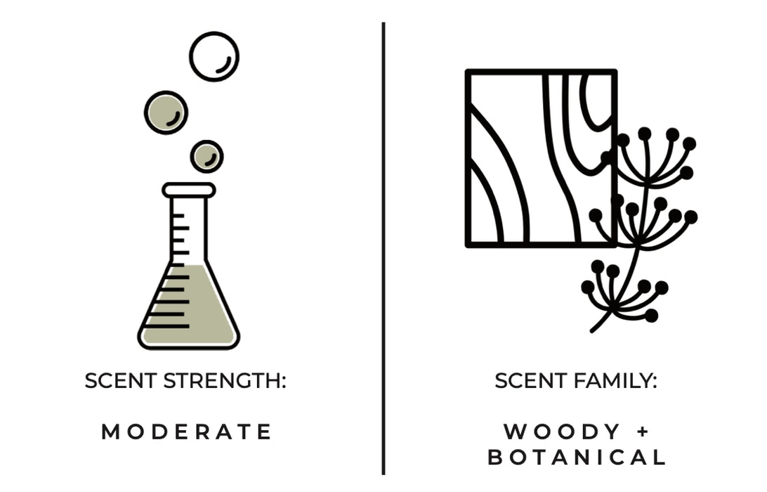 Santal Reed Diffuser
