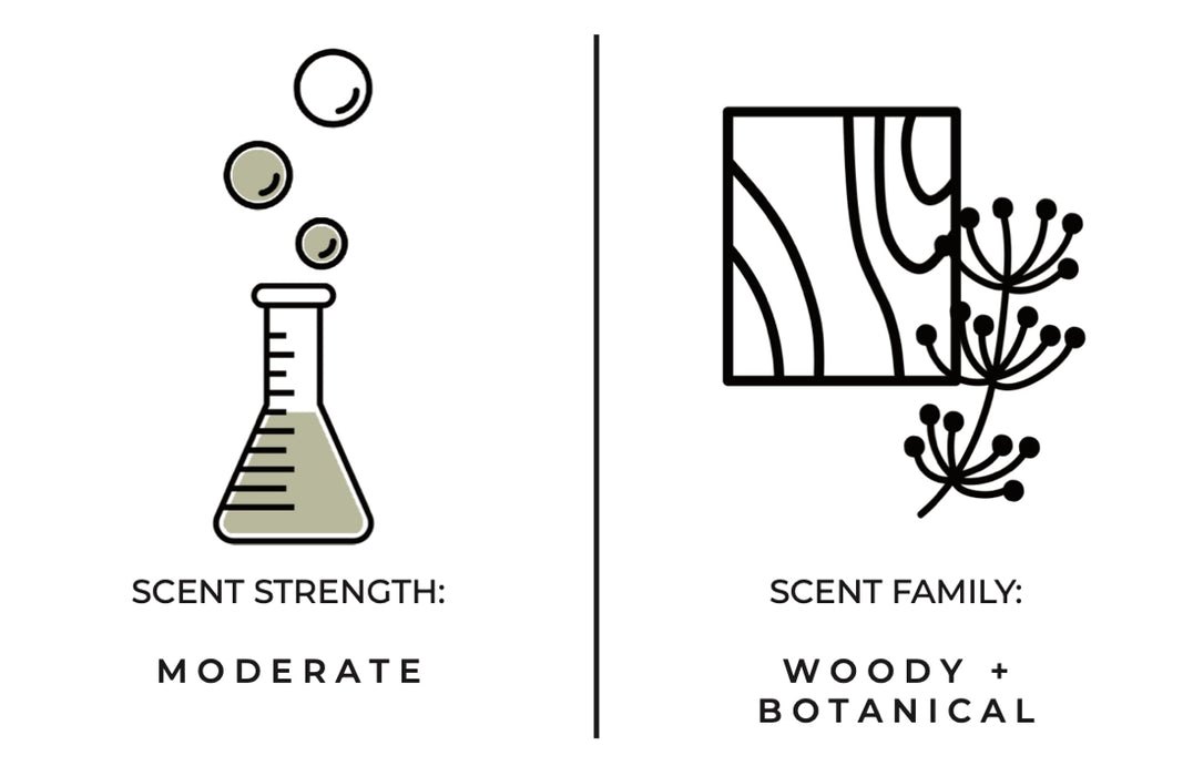 Santal Hand + Body Wash