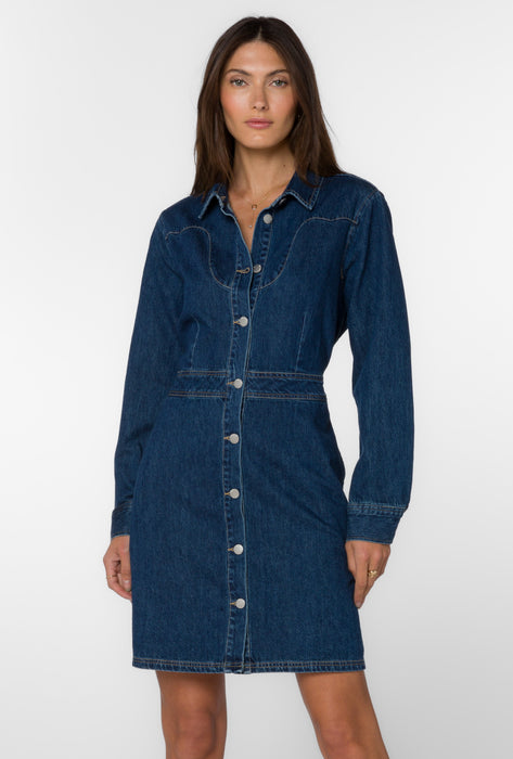 Warner Lake Denim Dress