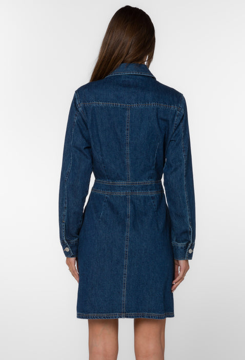 Warner Lake Denim Dress