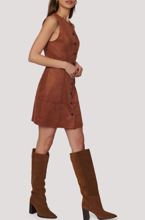 Regal Faux Suede Dress
